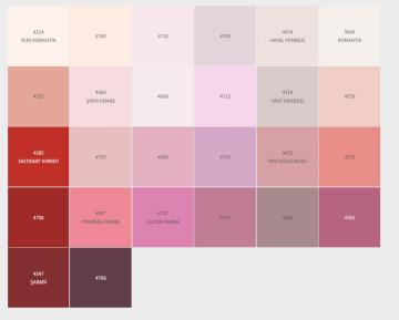 Dyo Dinamik Silikonlu Mat İç Cephe Boyası 2,5 lt