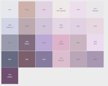 Dyo Dinamik Silikonlu Mat İç Cephe Boyası 2,5 lt